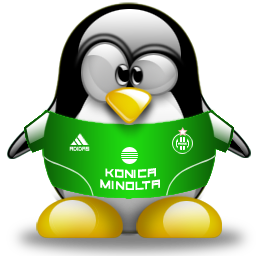 penguin pingouin pinguino 646